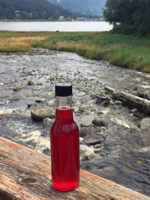 This photo shows red currant syrup in Juneau. (Vivian Mork Yeilk / For the Capital City Weekly)