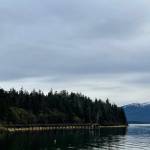 A body was found in the water near the Indian Cove dock on Sunday morning, Oct. 17, 2021 after a call to emergency services that she hadnt returned from a walk. (Michael S. Lockett / Juneau Empire)