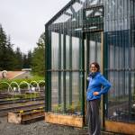 Penney James with Yakutat Tlingit Tribe used her Fellowship to strengthen Yakutat Community Gardens, dedicated to the late city planner and community visionary Rhonda Costen. The garden includes 44 raised beds, two greenhouses, and a compost house. (Courtesy Photo / Bethany Goodrich)