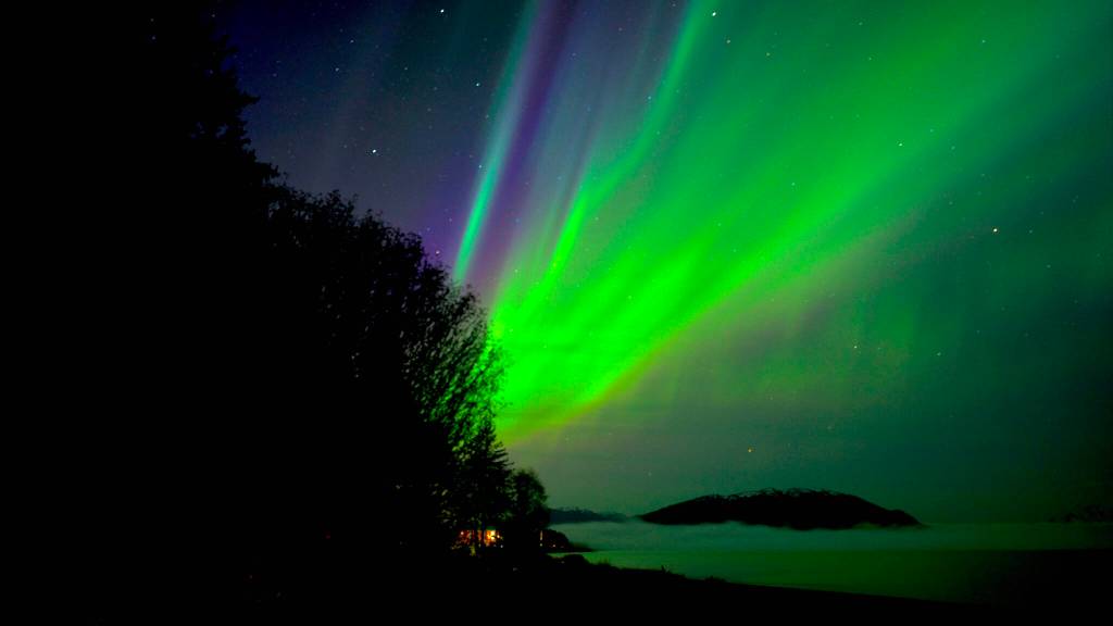 This photo shows the aurora borealis the morning of Nov. 4 at Lena Point. (Courtesy Photo / Tom Taylor)