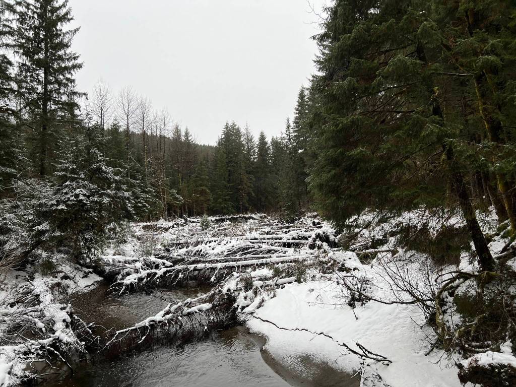 This photo was taken Saturday along the Kaxdigoowu Heen Dei (Brotherhood Bridge Trail). (Courtesy Photo / Deana Barajas)