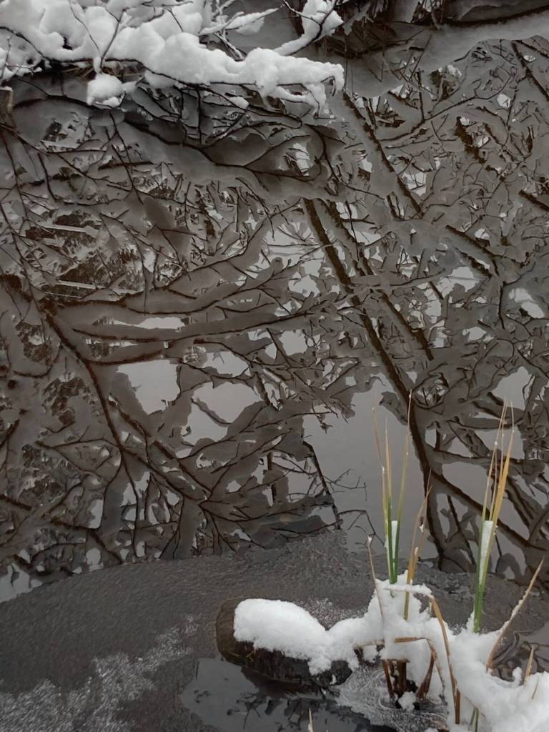 Winter has arrived! writes Deborah Rudis of this photo. (Courtesy Photo / Deborah Rudis)