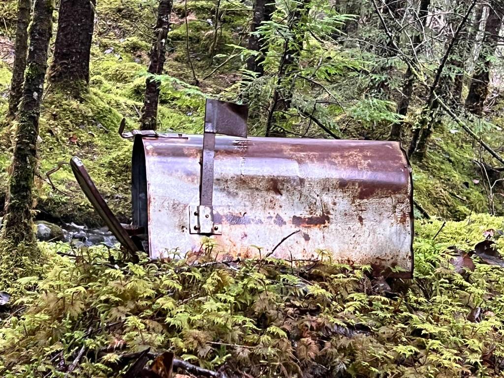 Didnt the post office used to say neither rain, nor sleet, nor snow would stop them? However, this mail has been waiting for an eternity. (Courtesy Photo/ Deana Barajas)