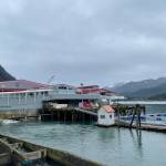 Douglas Island Pink and Chum had a better year than 2020, and things appear to be improving for next year, said hatchery employees. (Michael S. Lockett / Juneau Empire)
