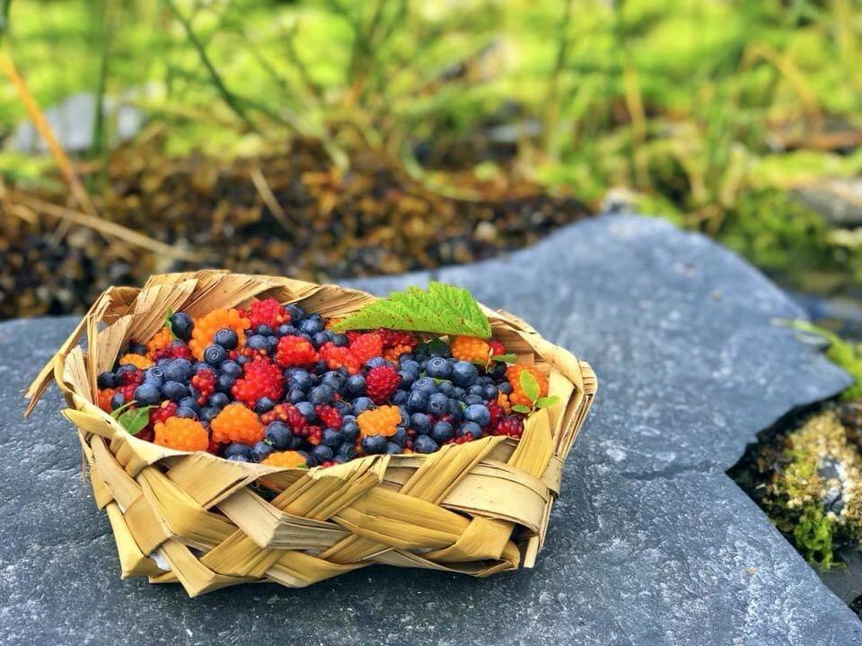 Salmonberries and blueberries. Wrangell. (Vivian Faith Prescott, photographer / For the Capital City Weekly)
