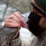 Math teacher and IGNITE Club adviser Caplan Anderson gives a masked smooch to spokesturkey Brenda. (Ben Hohenstatt / Juneau Empire)