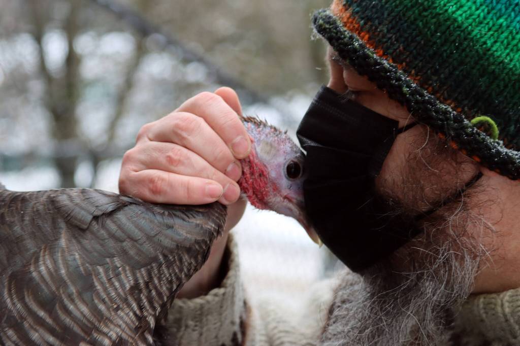 Math teacher and IGNITE Club adviser Caplan Anderson gives a masked smooch to spokesturkey Brenda. (Ben Hohenstatt / Juneau Empire)