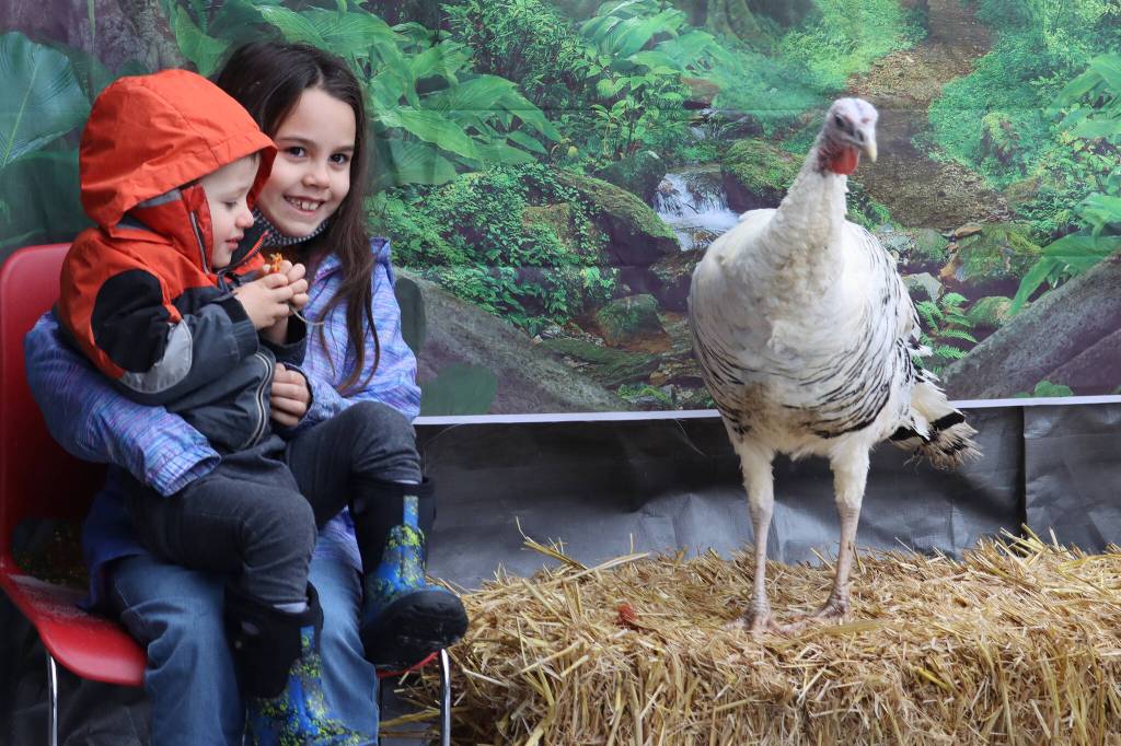 Elizabeth, 7, and Corbin, 2, Germain-Toupin sit with Penny the turkey during a turkey photo shoot fundraiser on Saturday. (Ben Hohenstatt / Juneau Empire)