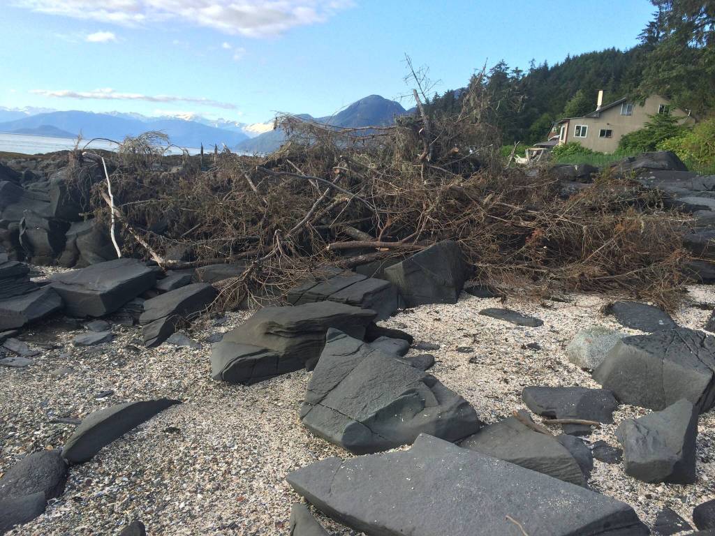 Vivian Faith Prescott / For the Capital City Weekly 
Tree debris and dirt cover the petroglyphs at Petroglyph Beach State Historic Site.