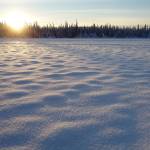 The late-November sun over a Fairbanks lake. (Courtesy Photo / Ned Rozell)