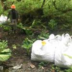 Ryan O Shaughnessy, executive director of Trail Mix Inc., walks down the trail as he oversees operations using a K-Max heavy lift helicopter to slingload dozens of tons of gravels for new construction on the Horse Tram Trail on Tuesday, June 23, 2020. (Michael S. Lockett / Juneau Empire File)