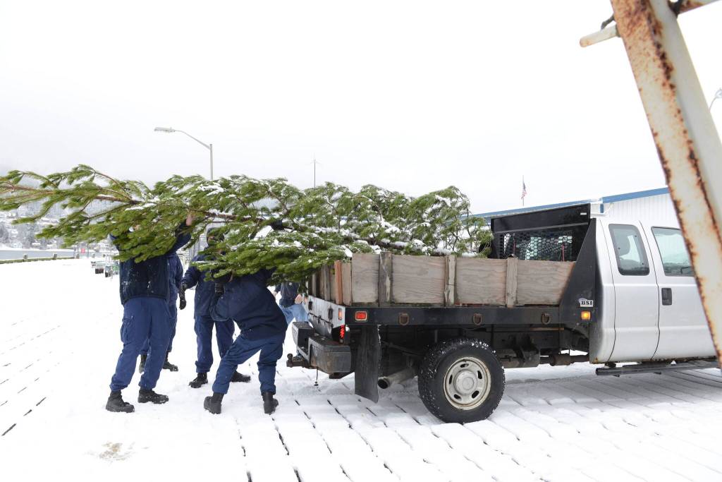 Coast Guardsmen and state employees load the Together Tree bound for the Alaska Governors Mansion on a truck on Nov. 29, 2021 after the Coast Guard Cutter Elderberry transported the tree from Wrangell. (USCG photo / Petty Officer 2nd Class Lexie Preston)