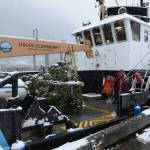 U.S. Coast Guard Cutter Elderberry carried the Together Tree, bound for the Alaska Governors Mansion, up from Wrangell where it was harvested after a brief delay due to some mechanical issues. (USCG photo / Petty Officer 2nd Class Lexie Preston)