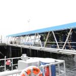 1Coast Guardsmen and state employees carry the Together Tree, bound for the Alaska Governors Mansion, up from the pier on Nov. 29, 2021 after the Coast Guard Cutter Elderberry transported the tree from Wrangell. (USCG photo / Petty Officer 2nd Class Lexie Preston)