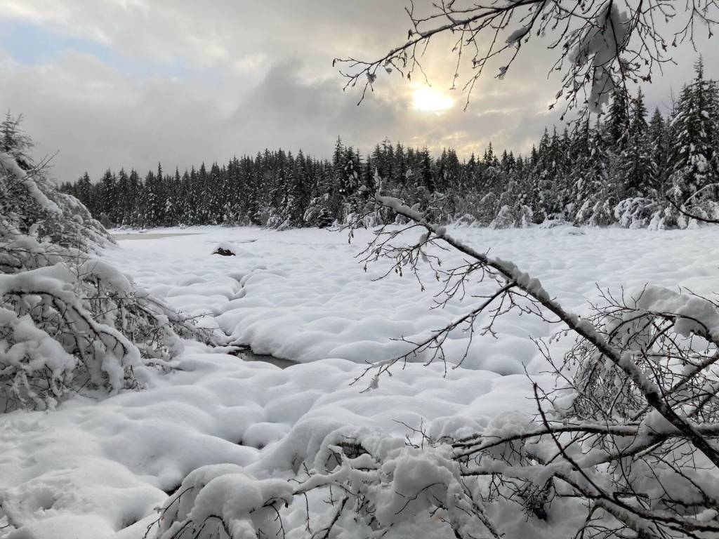 This photo taken on Dec. 1 shows the sun at Mendenhall Campground. (Courtesy Photo / Deborah Rudis)