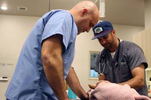 Ed Garity, a vet technician, and Dr. Sam Smith, a veterinarian and owner of Tongass Veterinary Services, tend to a 17-year-old dog on Friday, Dec. 3. (Ben Hohenstatt / Juneau Empire)
