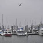 Heavy rain and snow fell on the Mike Pusich Douglas Harbor on Tuesday, Dec. 7, 2021 and is expected to continue through the week, according to the National Weather Service. (Peter Segall / Juneau Empire)