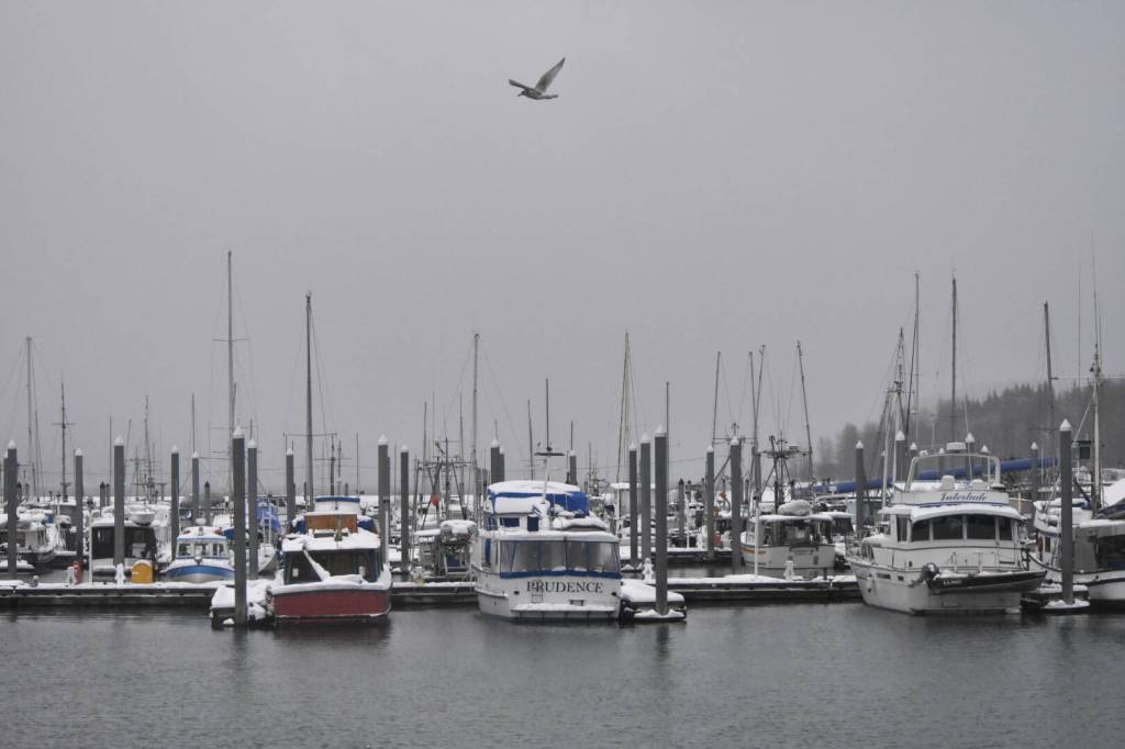 Heavy rain and snow fell on the Mike Pusich Douglas Harbor on Tuesday, Dec. 7, 2021 and is expected to continue through the week, according to the National Weather Service. (Peter Segall / Juneau Empire)