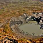 A forest growing on Malaspina Glacier in southern Alaska. (Courtesy Photo / Martin Truffer)