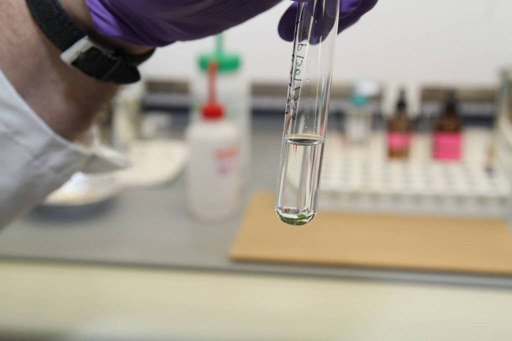 Technicians at the Alaska State Crime Lab recently identified the human remains found in a shoe that washed up near the Seawalk in 2020. (Courtesy photo / Department of Public Safety)