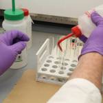 Technicians at the Alaska State Crime Lab recently identified the human remains found in a shoe that washed up near the Seawalk in 2020 by identifying the deceaseds DNA. (Courtesy photo / Department of Public Safety)