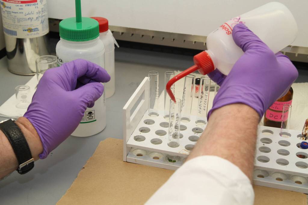 Technicians at the Alaska State Crime Lab recently identified the human remains found in a shoe that washed up near the Seawalk in 2020 by identifying the deceaseds DNA. (Courtesy photo / Department of Public Safety)