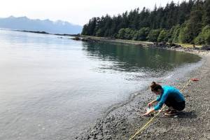 University of Alaska Southeast graduate student Muriel Walatka gathers samples of beach sand to examine for microplastics at Auke Recreation Area in Juneau in August 2019. (Courtesy Photo / Sonia Nagorski)