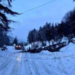 Crews from Alaska Electric Light and Power responded to a power outage on Thane Road on Monday morning. An avalanche blocking the road delayed efforts to restore power to the area, according to officials at the utility. (Download/AEL&P Facebook page)