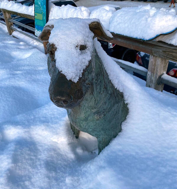 Patsy Ann after the last snowfall seen on the downtown seawalk on Jan. 3, 2022. (Courtesy Photo / Denise Carroll)
