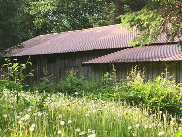This Juneau 2018 photo shows the Thane Ore House. One of my favorites writes Ann Paul. (Courtesy Photo / Ann Paul)