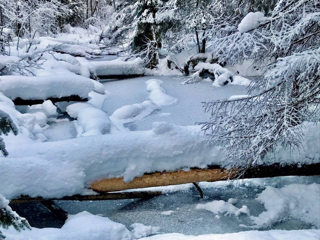 This photo shows Dredge Lakes pond on Dec. 21. (Courtesy Photo / Richard Fagnant)