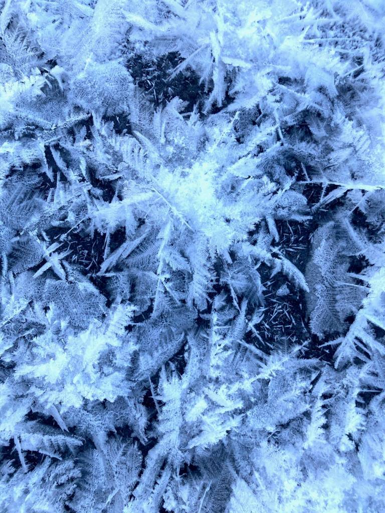 Snow flowers are seen along the Mendenhall River on Christmas Day. (Courtesy Photo / Deborah Rudis)