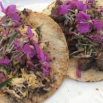 This photo shows fireweed, quinoa, cheese, bison tacos next to the river. (Yéilk Vivian Mork / For the Capital City Weekly)