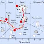 A Nakaya diagram showing the different shapes of snow crystals formed under different cloud conditions. A through D correspond to the crystal types Matthew Sturm photographed in a Dec. 26, 2021 storm in Fairbanks. (Courtesy Image / Matthew Sturm)