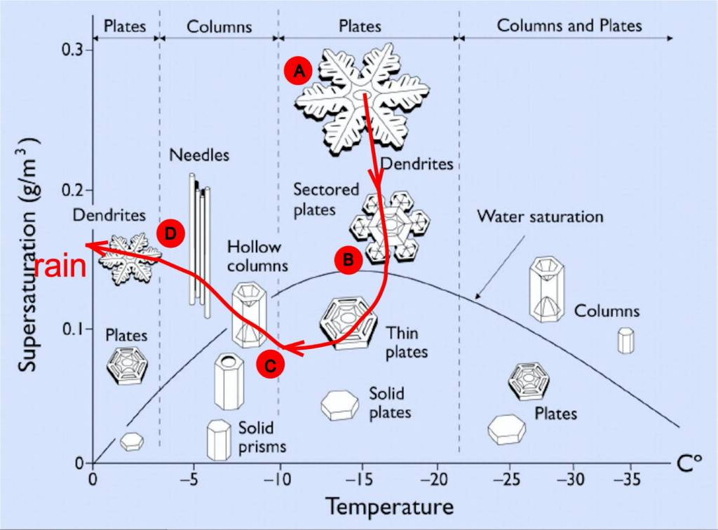 A Nakaya diagram showing the different shapes of snow crystals formed under different cloud conditions. A through D correspond to the crystal types Matthew Sturm photographed in a Dec. 26, 2021 storm in Fairbanks. (Courtesy Image / Matthew Sturm)