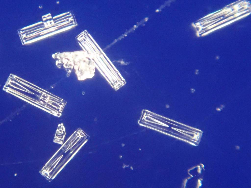 Matthew Sturm captured these images of snow crystals falling in a Dec. 26, 2021, storm in Fairbanks. Their shapes correspond to different temperatures and humidity within the cloud that formed them. (Courtesy Photo / Matthew Sturm)