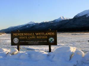 Dana Zigmund / Juneau Empire
The sun shines on the Mendenhall Wetlands State Game Refuge on Monday. According to forecasters, Monday is likely the last sunny day Juneau will see for the rest of the week as a snow event thats forecasted to start Tuesday will give way to rain and warming temperatures during the back half of the week.