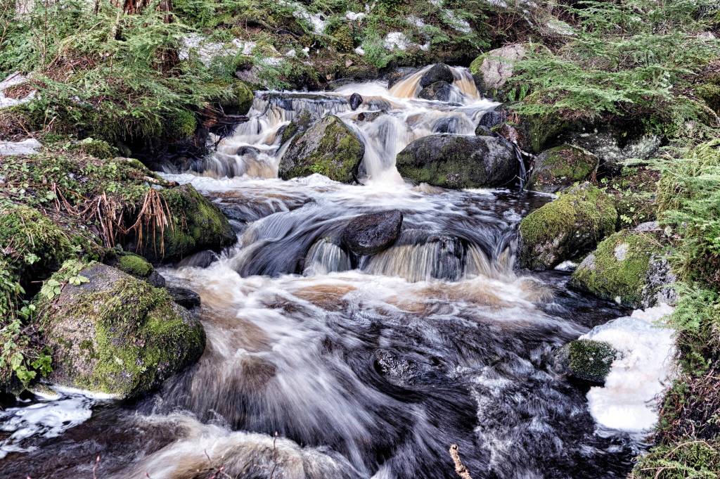 Creek running into Bridget Cove by Mab Island, Southeast Alaska. (Courtesy Photo / Kenneth Gill, gillfoto)