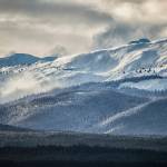 Winter southern Chilkat Range alpine meadows on Jan. 30. (Courtesy Photo / Kenneth Gill, gillfoto)