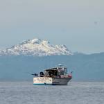 Ketchikan resident Larry Jackson trolls near town in his charter boat Alaskan. (Jeff Lund / For the Juneau Empire)