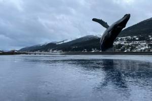Damp paving stones in Mayor Bill Overstreet Park tell of a record-settlingly rainy January and a damp February to come. (Michael S. Lockett / Juneau Empire)