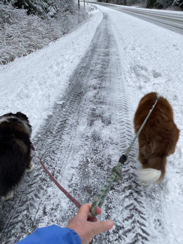 Vivian Faith Prescott / For the Capital City Weekly 
Kéet and Oscar walk the bike path after its plowed.