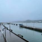 The City and Borough of Juneau Committee of the Whole got an update on the citys project to electrify two of the cruise piers on Feb. 14, 2022. (Michael S. Lockett / Juneau Empire)