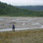 Vivid Stream, in Glacier Bay, came out from under glacier ice in the last century and now has thousands of pink salmon spawning in it. (Courtesy Photo / Sonia Nagorski)