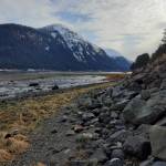 This photo was taken in the mud flats area of North Douglas. (Courtesy Photo / Elizabeth Jennings)