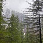 From the trail up Mount Roberts we hear and see a long narrow avalanche cascade down Mount Juneau on March 12. (Courtesy Photo / Denise Carroll)