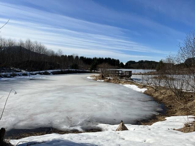 This photo was taken on March 8 on the Kingfisher Pond trail. (Courtesy Photo / Deana Barajas)