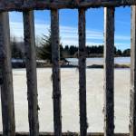 This photo was taken on March 8 on the Kingfisher Pond trail. (Courtesy Photo / Deana Barajas)