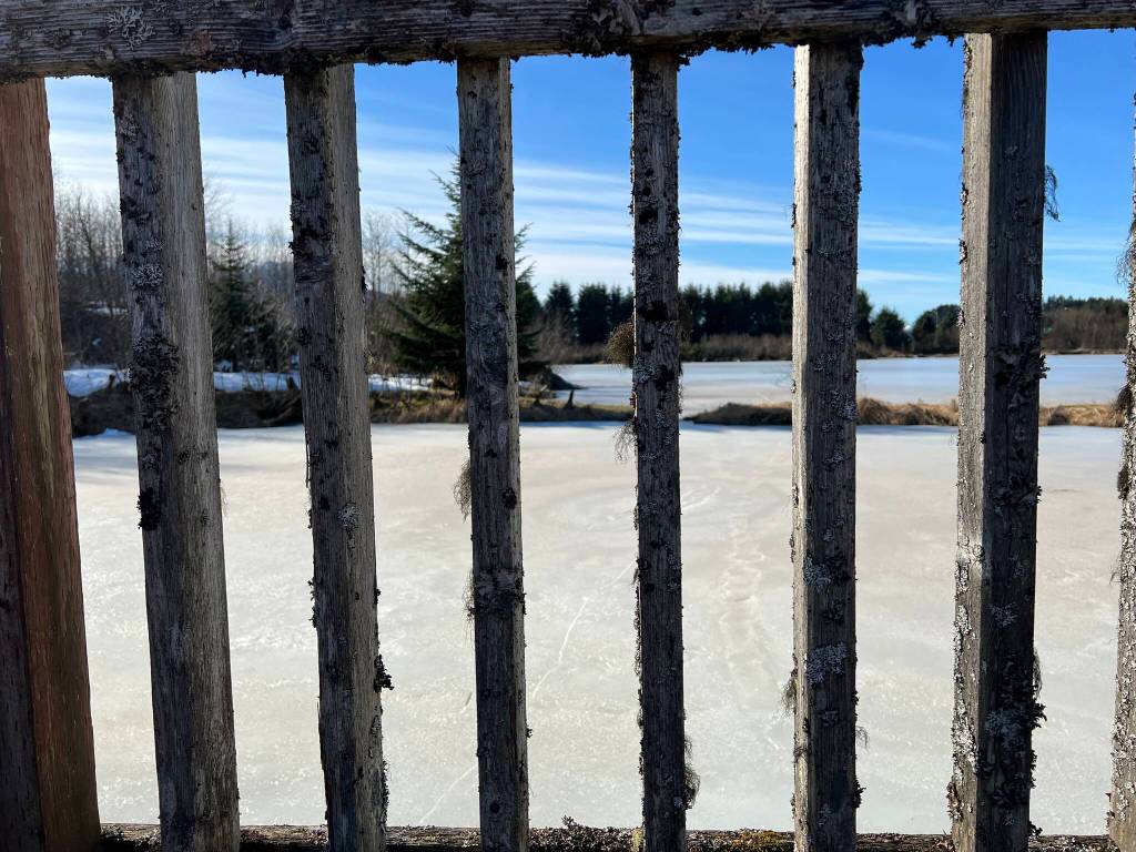 This photo was taken on March 8 on the Kingfisher Pond trail. (Courtesy Photo / Deana Barajas)