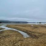 The Mendenhall Wetlands, among the lowest parts of Juneau, are still considerably higher out of the water than the area used to be, said the citys port engineer.(Michael S. Lockett / Juneau Empire)